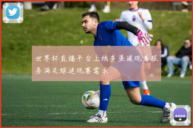 世界杯直播平台上线多渠道观看服务满足球迷观赛需求