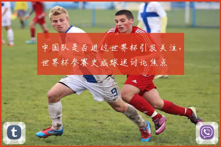 中国队是否进过世界杯引发关注，世界杯参赛史成球迷讨论焦点