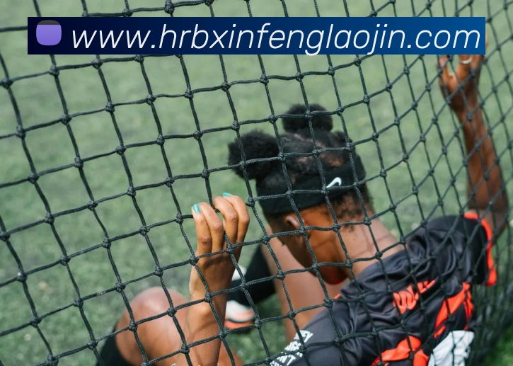 App Interface Preview